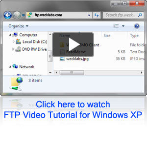 Weck Laboratories FTP Connected Window